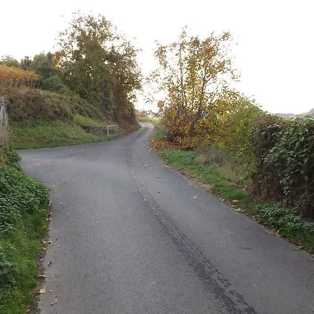 Daire Ana Bad Neuenahr-Ahrweiler